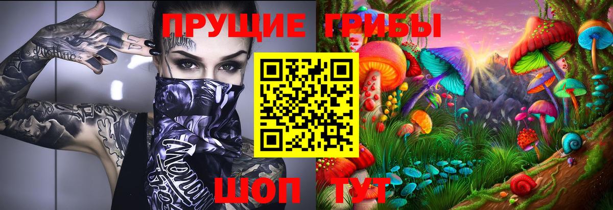 Псилоцибиновые грибы Cubensis Сертолово